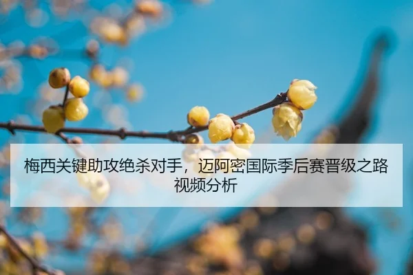 梅西关键助攻绝杀对手，迈阿密国际季后赛晋级之路视频分析
