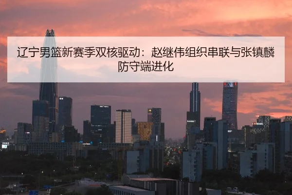 辽宁男篮新赛季双核驱动：赵继伟组织串联与张镇麟防守端进化